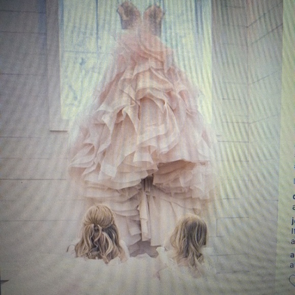 Meet your Posher, Kiki - Picture 4 of 8